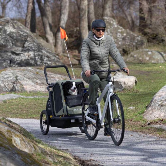 hamax-pluto-m-dog-trailer-g-1665911-compressed.jpg hamax-pluto-m-dog-trailer-g-1665911-compressed.jpg