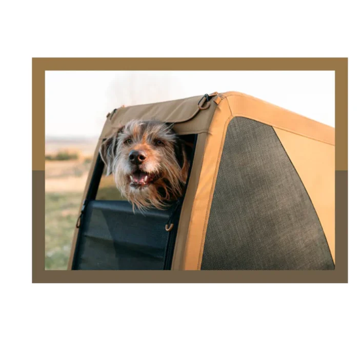 image-chien-dans-remorque-crooze-velo_890x890_crop_center.webp image-chien-dans-remorque-crooze-velo_890x890_crop_center.webp