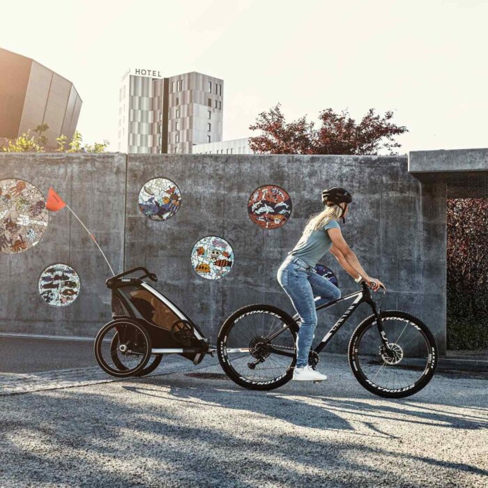 thule-chariot-lite-1-bike-trailer-for-1-kid-agave-28-1278942-compressed.jpg