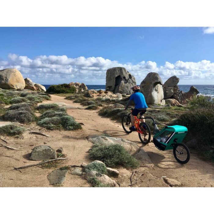 tout-terrain-singletrailer-2-sport-bike-trailer-for-1-kid-1497903-compressed.jpg